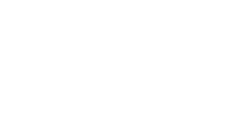 Organizacional Consultoria Empresarial